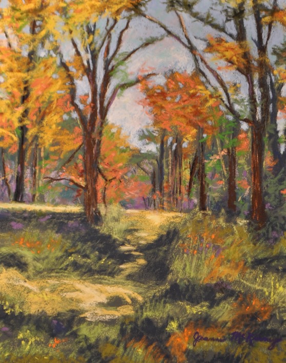 forest-light_med