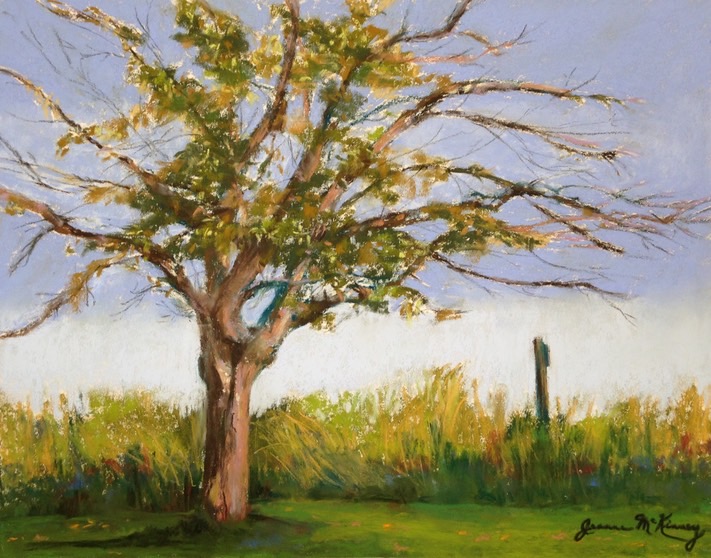 late-season-at-rhoneymeade_med